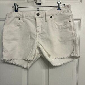 Carve Designs Oahu 4-Inch Shorts Cloud Size 2